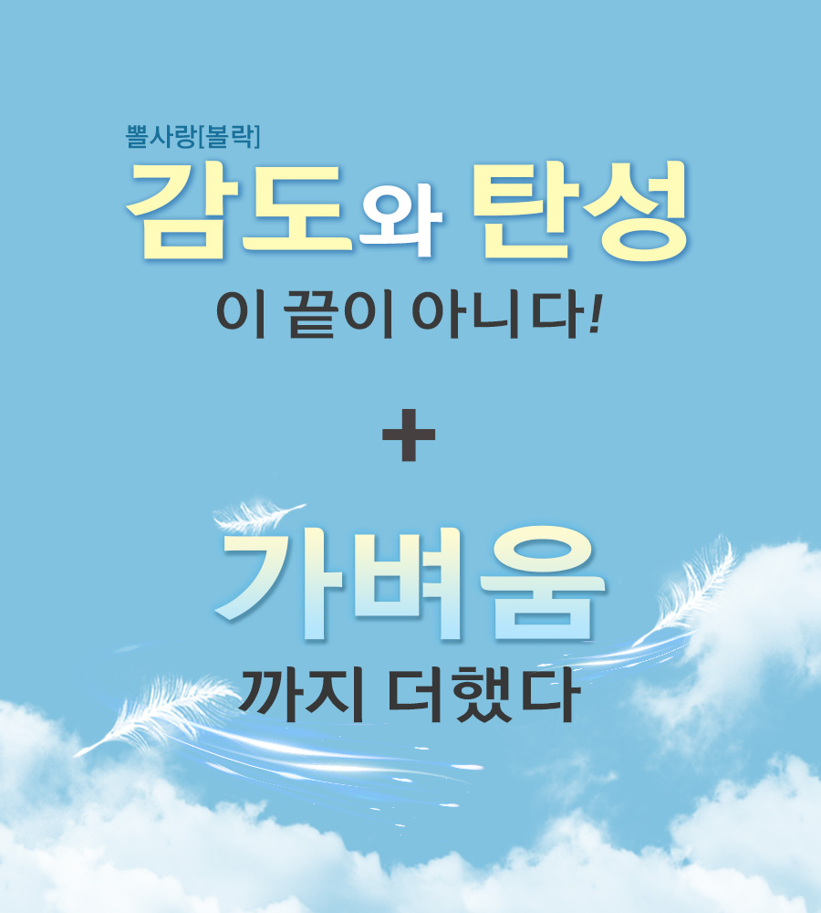 �ʻ��(�߰�) ��������