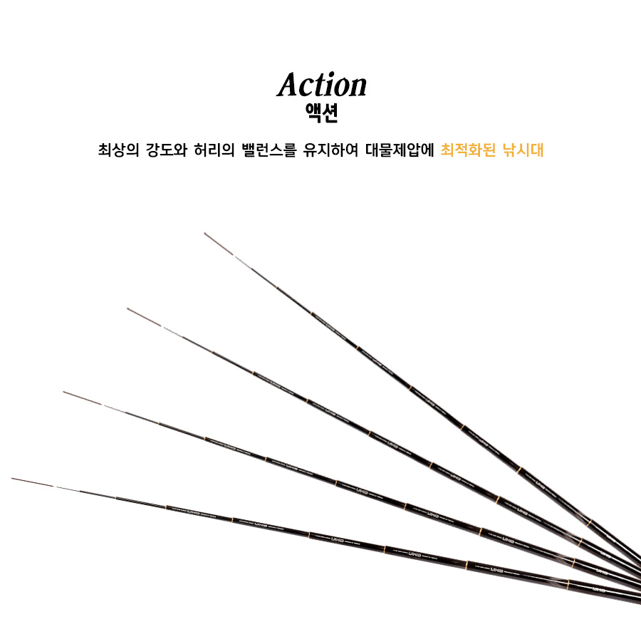 ����õ��� ��������