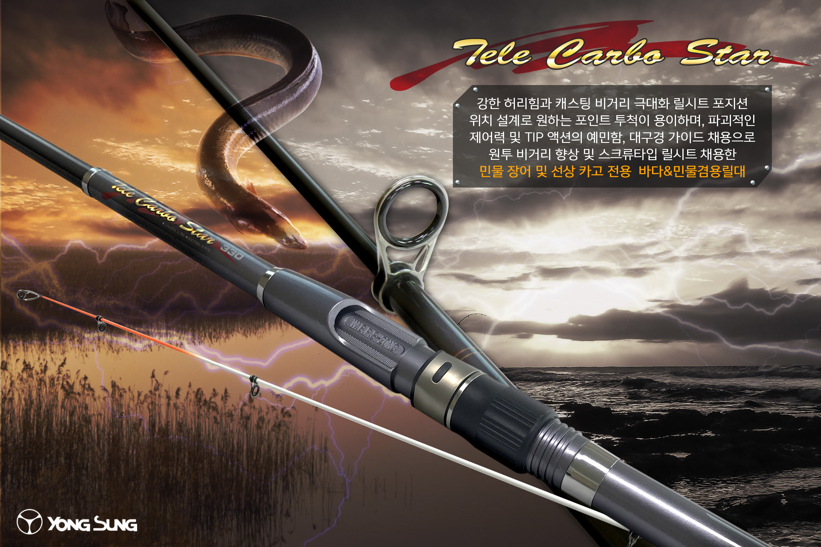 �ڷ�ī����Ÿ ��������